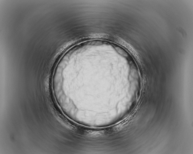 X0000112720155200909031424