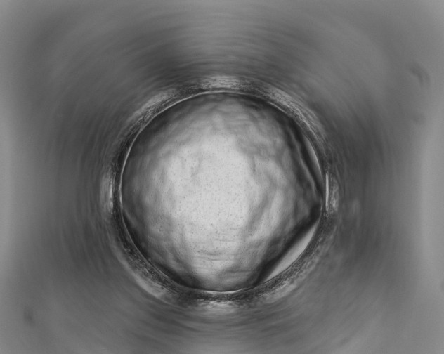 X0000112720157200909031424