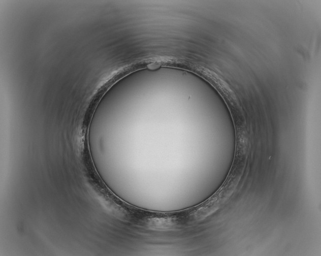 X0000112720160200909031424