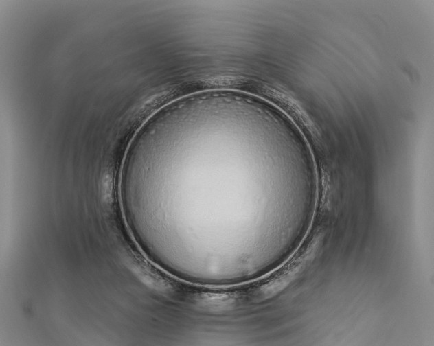 X0000112720161200909031424