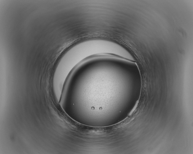 X0000112720164200909031424