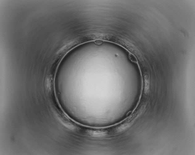 X0000112720165200909031424