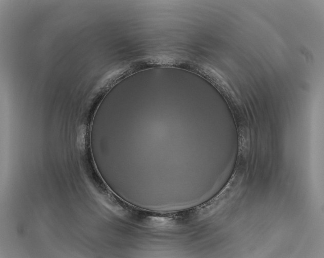 X0000112720167200909031424