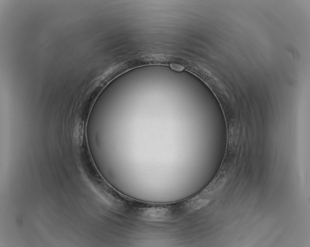 X0000112720168200909031424