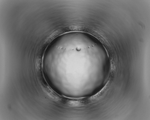 X0000112720171200909031424