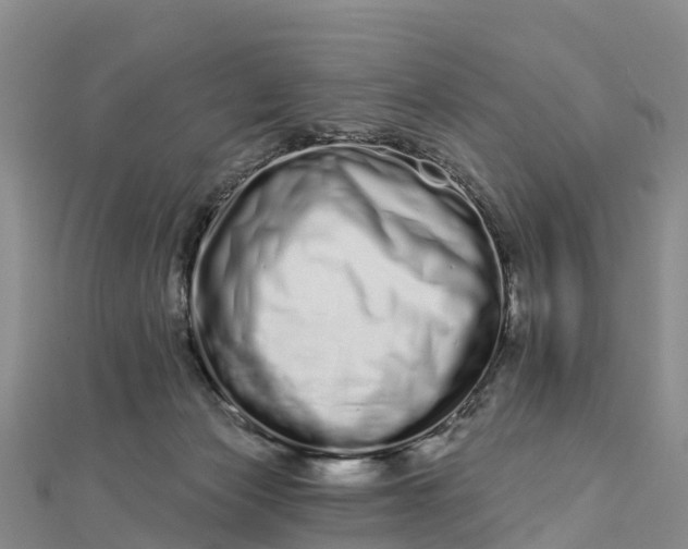 X0000112720173200909031424