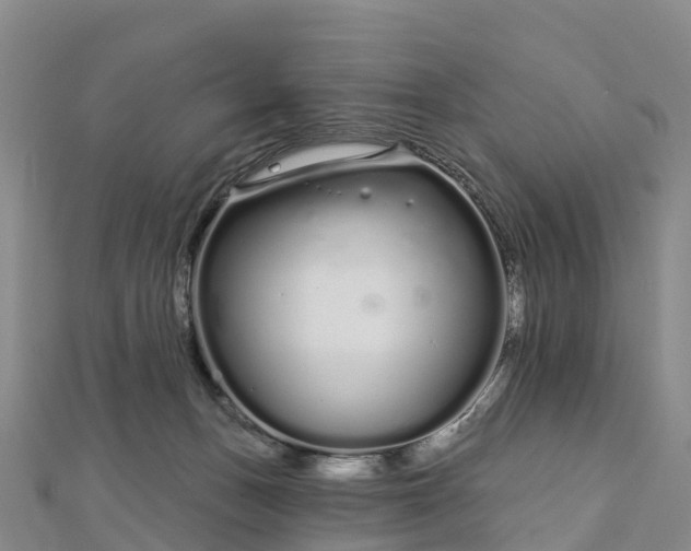 X0000112720175200909031424