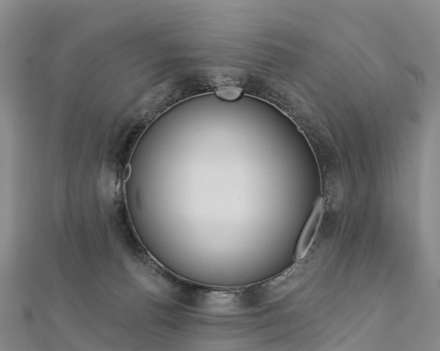 X0000112720176200909031424