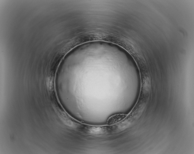 X0000112720177200909031424