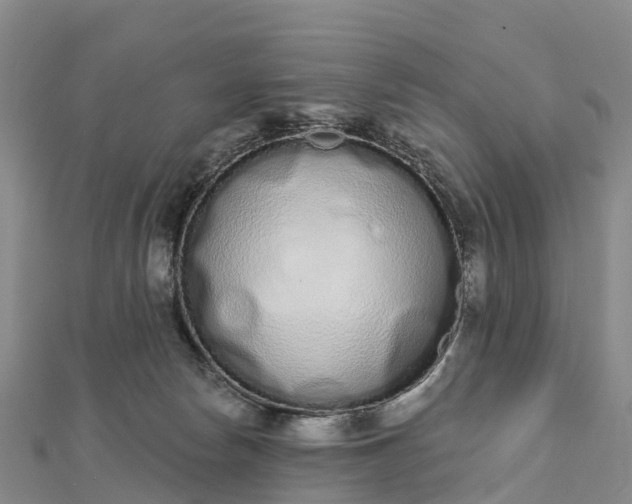 X0000112720178200909031424