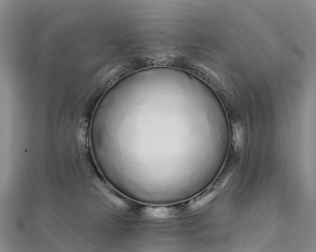 X0000112720181200909031424