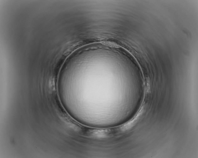 X0000112720182200909031424