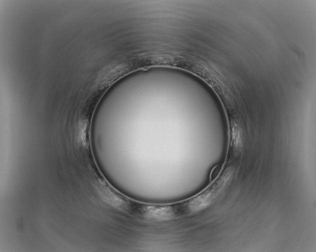 X0000112720185200909031424