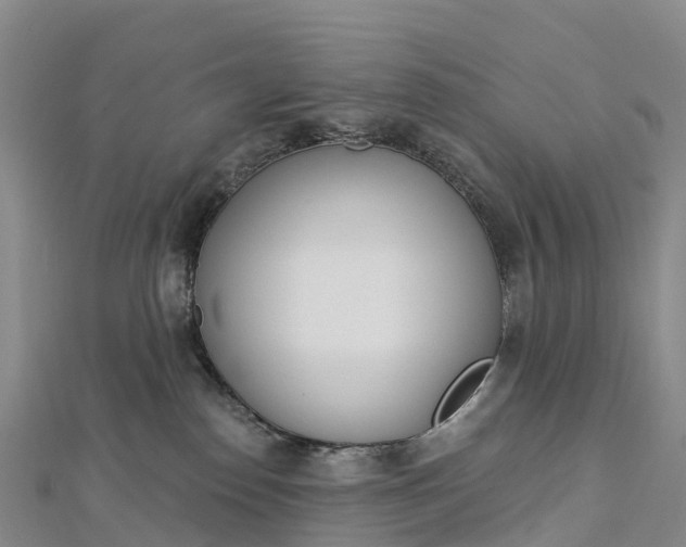 X0000112720186200909031424