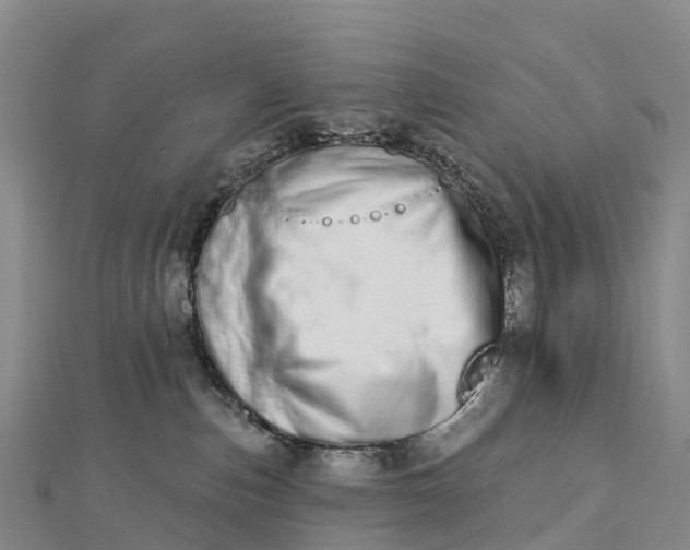 X0000112720187200909031424