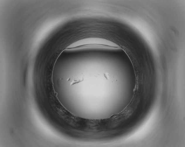 X0000112720190200909031424