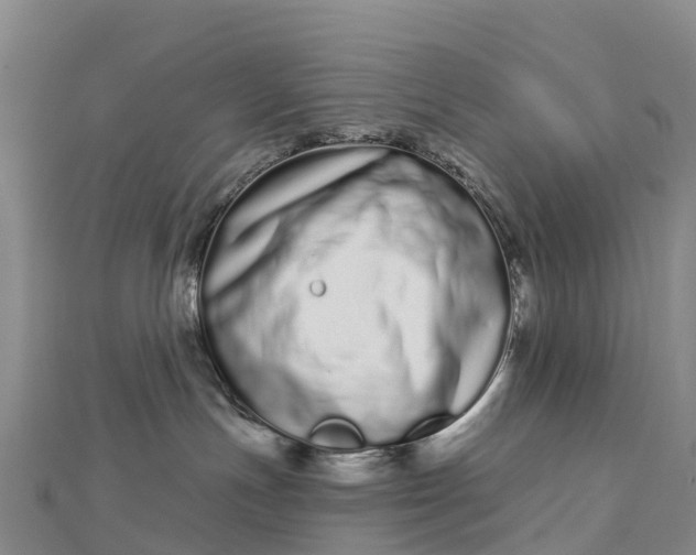 X0000112720191200909031424