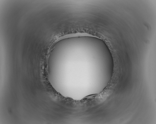 X0000112720192200909031424