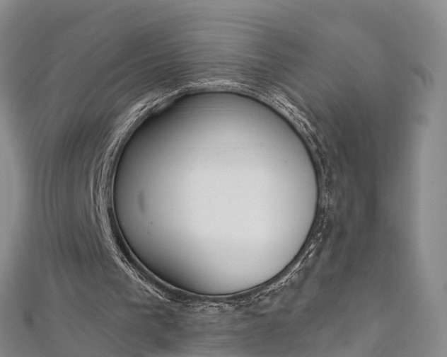 X0000112720193200909031424