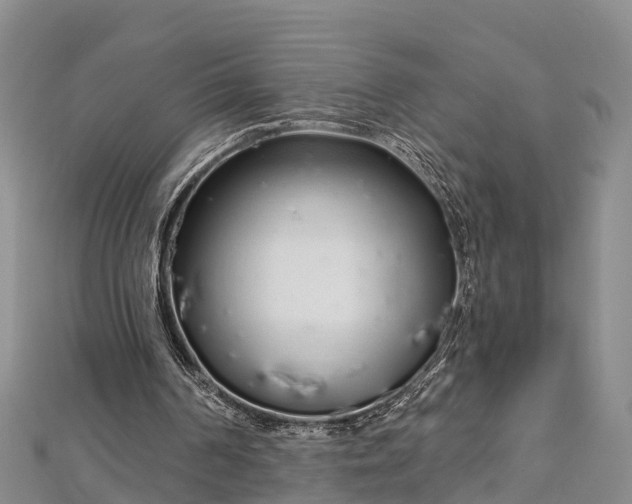 X0000112720194200909031424