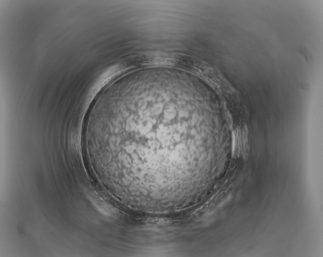 X0000112720195200909031424