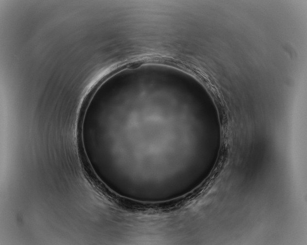 X0000112720196200909031424