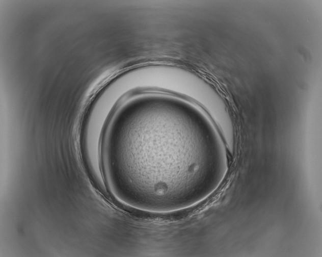 X0000112720197200909031424