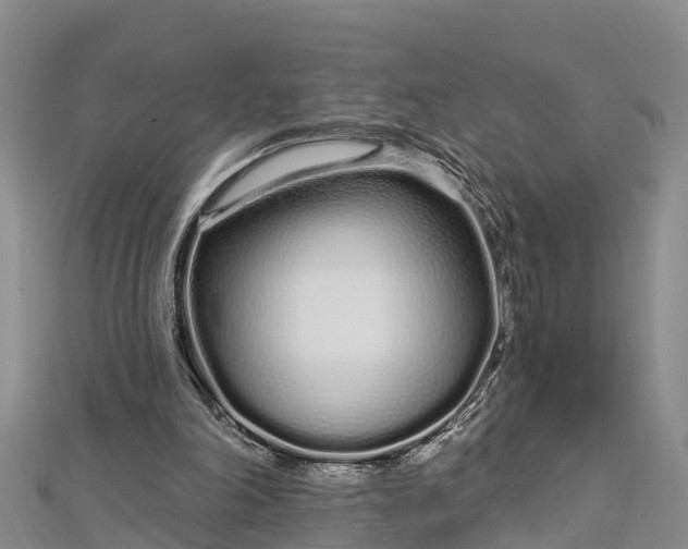 X0000112720198200909031424