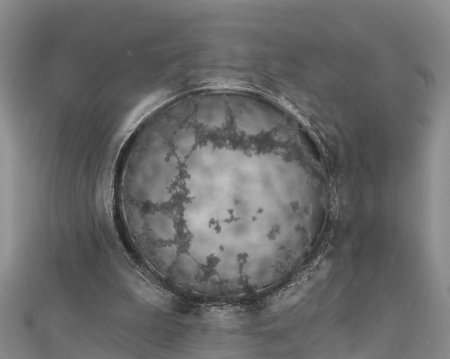 X0000112720199200909031424