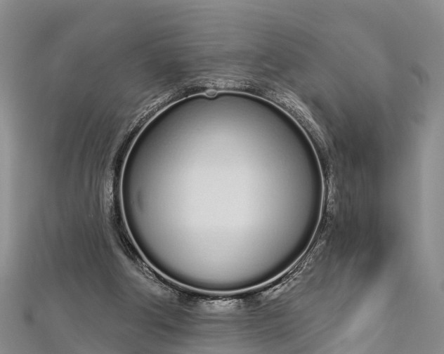 X0000112720202200909031424