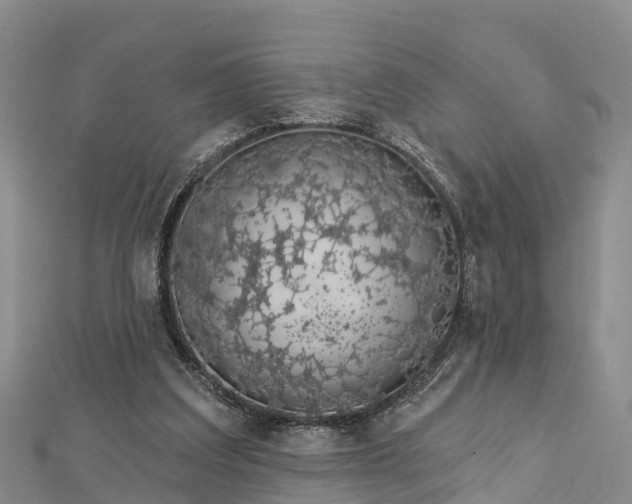 X0000112720203200909031424