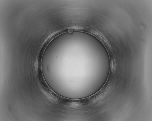 X0000112720204200909031424