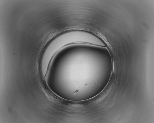 X0000112720205200909031424