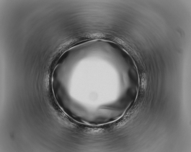 X0000112720206200909031424