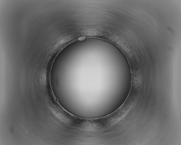 X0000112720207200909031424