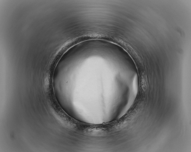 X0000112720208200909031423