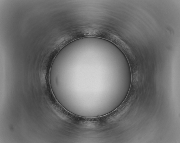 X0000112720209200909031423