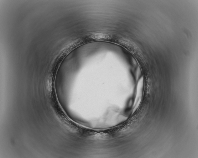 X0000112720210200909031423