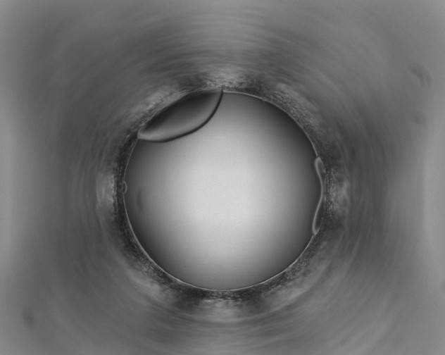 X0000112720211200909031423