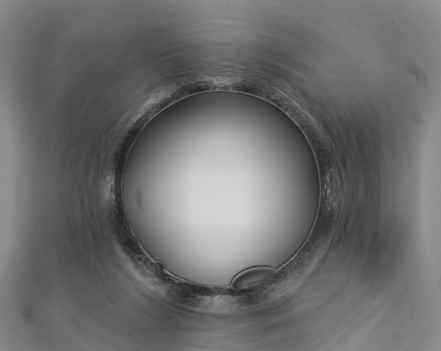 X0000112720212200909031423