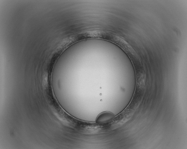 X0000112720213200909031423