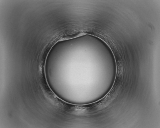 X0000112720214200909031423