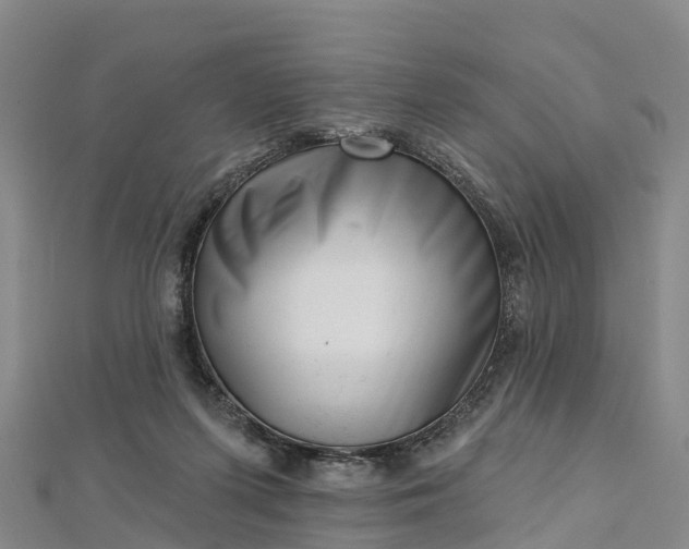 X0000112720215200909031423