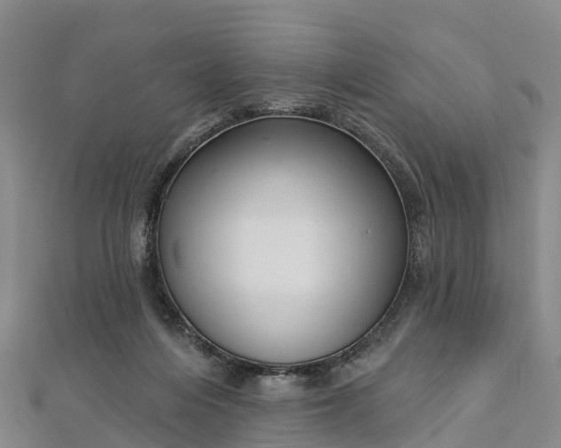 X0000112720216200909031423