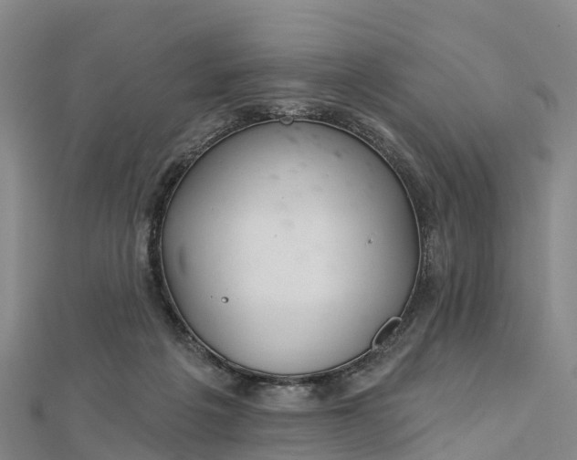 X0000112720217200909031423