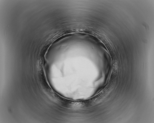 X0000112720218200909031423