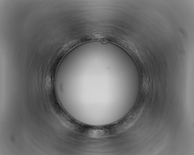 X0000112720220200909031423