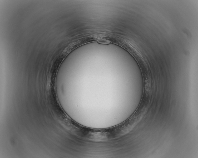 X0000112720221200909031423