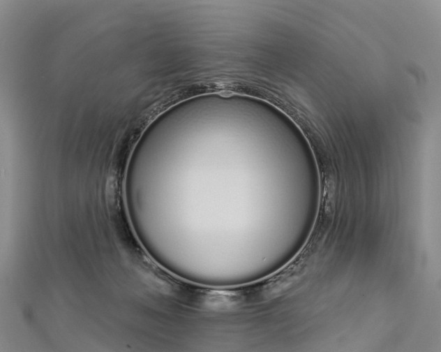 X0000112720222200909031423