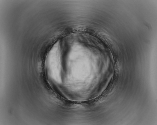 X0000112720224200909031423